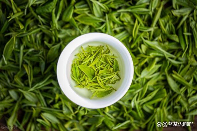 口碑最好的10大茶叶品牌排行榜，哪个牌子茶叶好喝 第1张