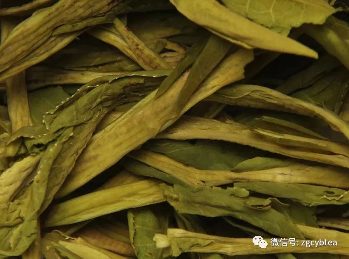 茶叶的叶形分类与特点(茶叶分类一览图) 第2张