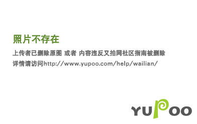 桂花金骏眉茶叶(桂花金骏眉茶叶有什么功效和作用) 第1张