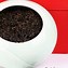 舒玲茶叶金骏眉(金骏眉680) 第2张