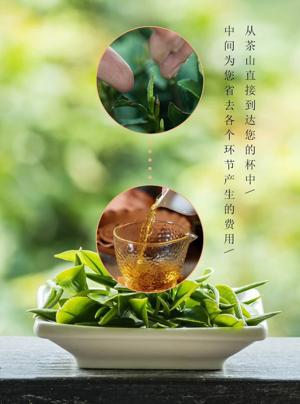 智礼茶叶金骏眉(茶礼金骏眉六盒装) 第1张