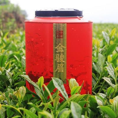金骏眉茶叶供应(金骏眉茶叶批发价格) 第1张