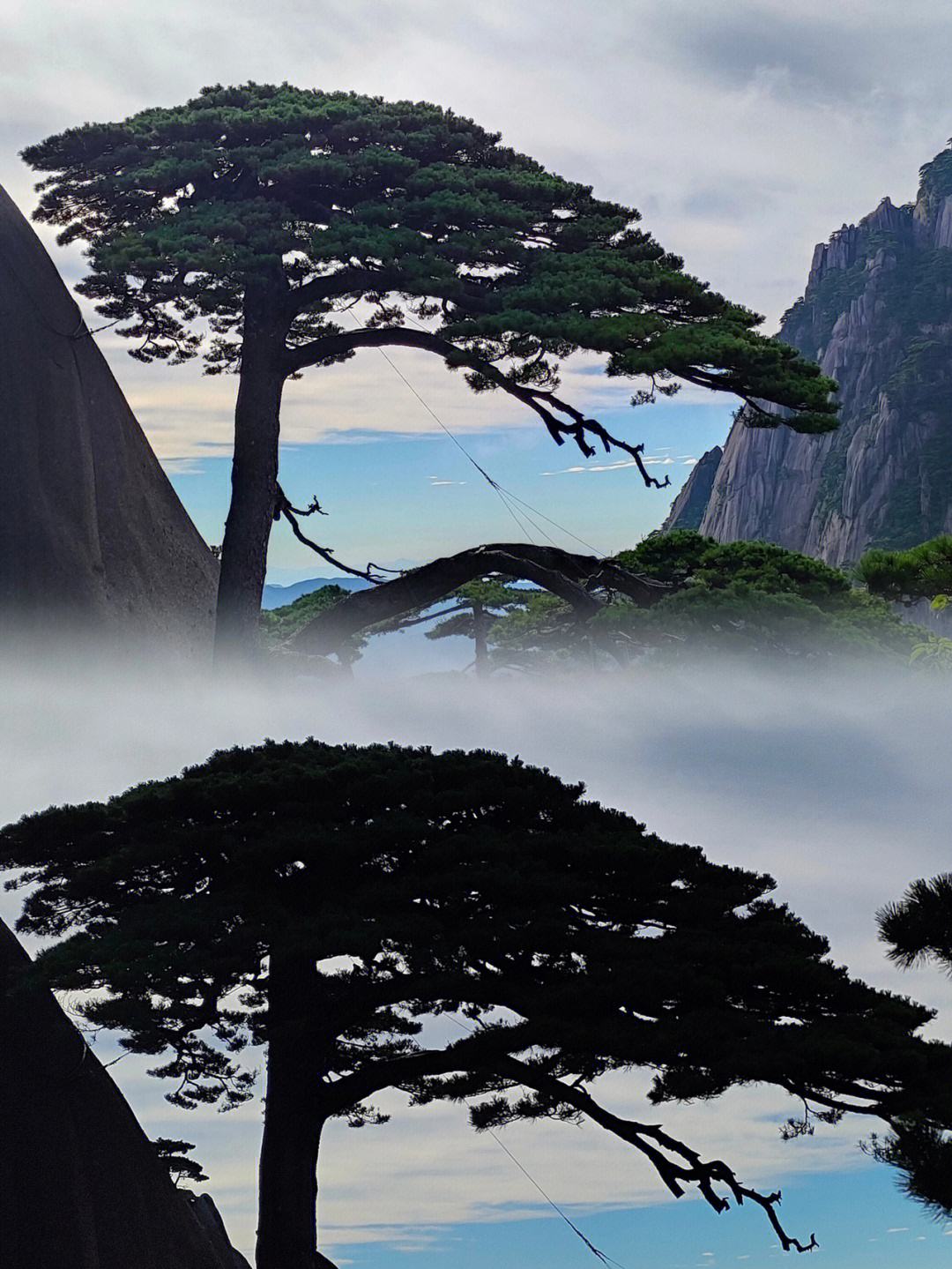 锦绣中华茶叶金骏眉(中华锦绣茶叶多少钱一盒?) 第2张