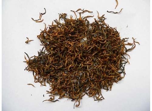 茶树茶叶金骏眉(金骏眉的茶树怎么样的) 第2张