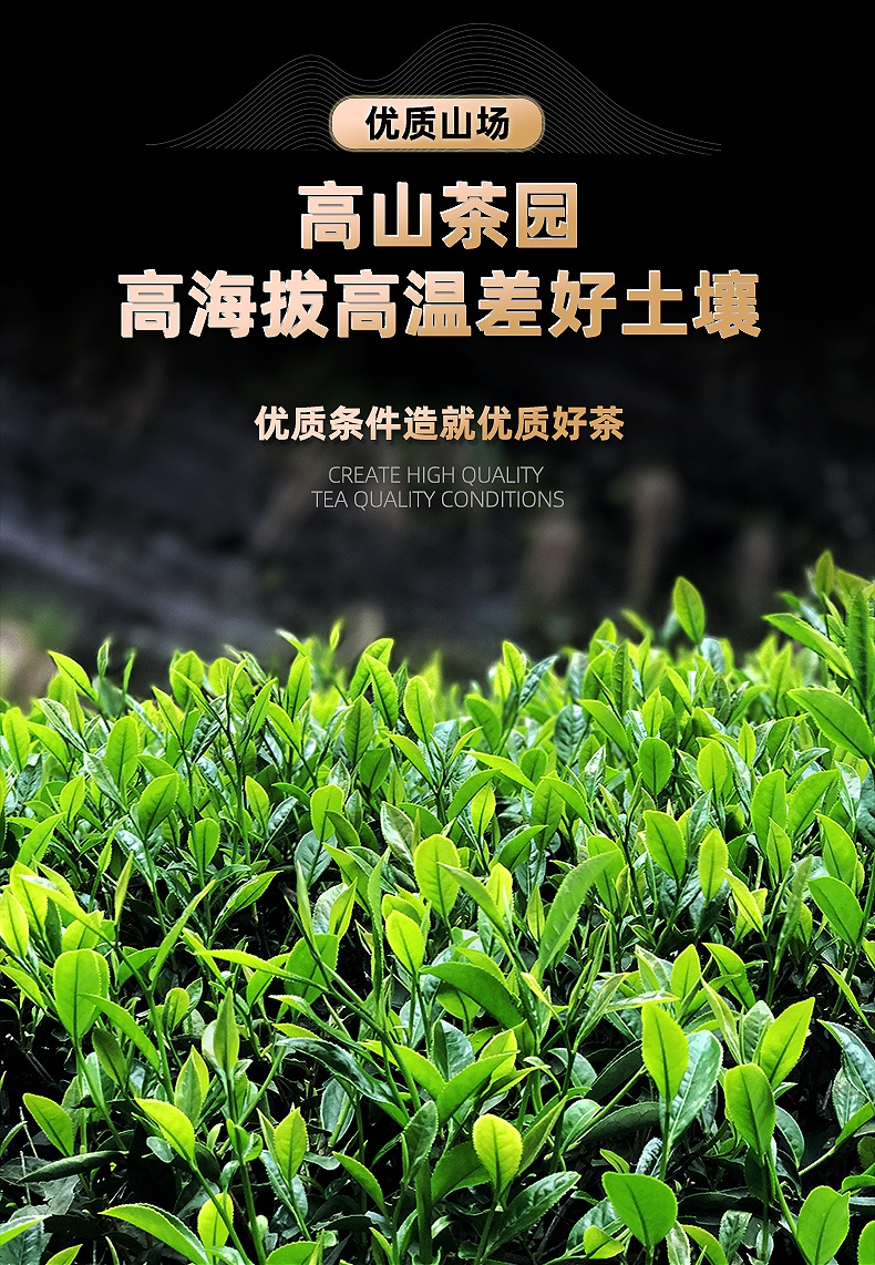 安溪茶叶金骏眉(福建名茶金骏眉) 第2张