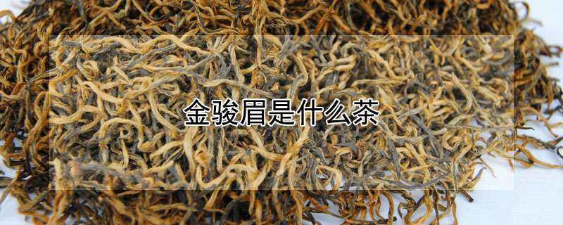 鉴别茶叶金骏眉(鉴别金骏眉的好坏视频) 第1张