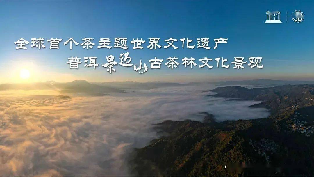世界茶文化博物馆(世界茶文化博物馆茶马世家) 第1张