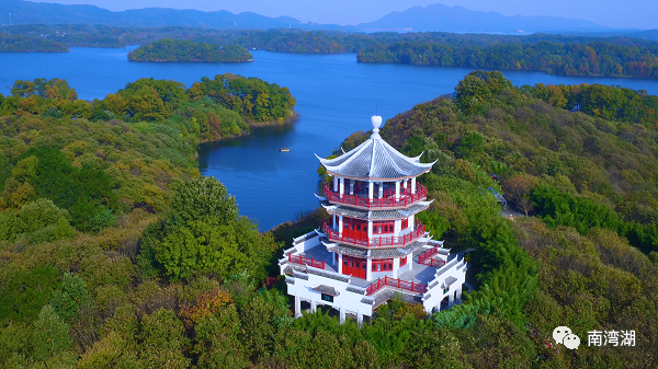 信阳陆羽茶文化园(信阳陆羽茶文化园电费) 第1张