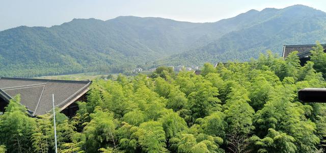 顾渚山茶文化旅游区(顾渚山茶文化旅游区门票) 第2张