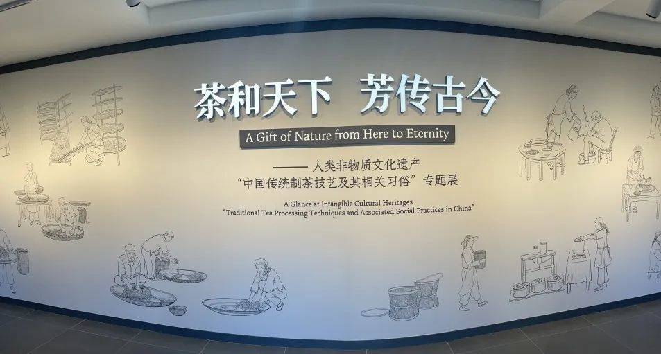 中国古代茶文化的作用(中国古代茶文化的作用和意义) 第2张