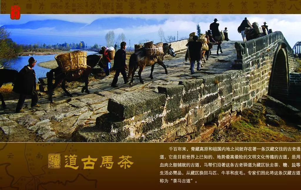 中国的茶文化历史(中国的茶文化历史有多少年) 第1张