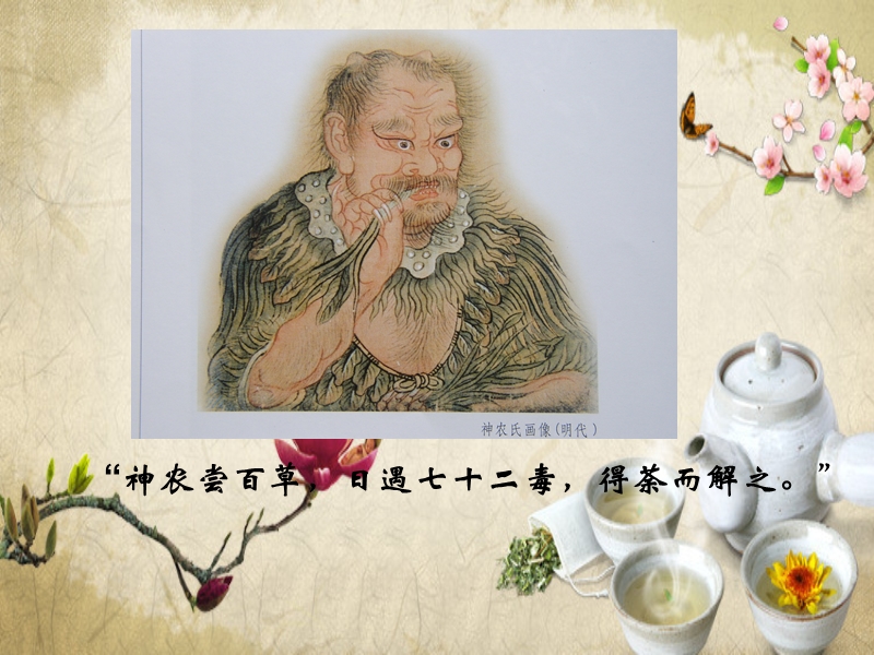 茶文化的起源与发展(日本茶文化的起源与发展) 第2张