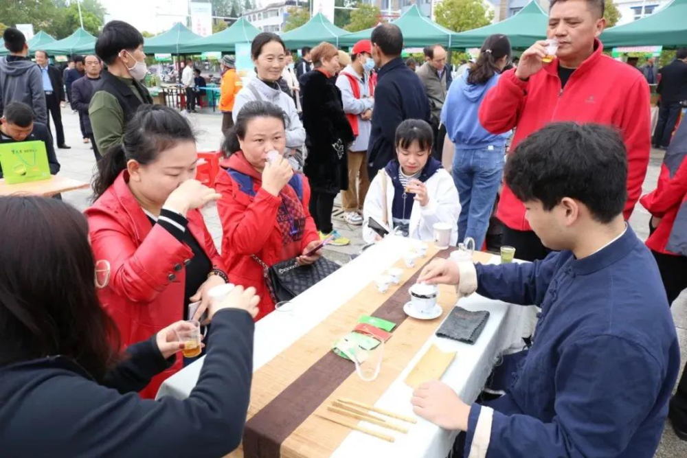 信阳2017茶文化节(信阳茶文化节暨商品交易会) 第2张