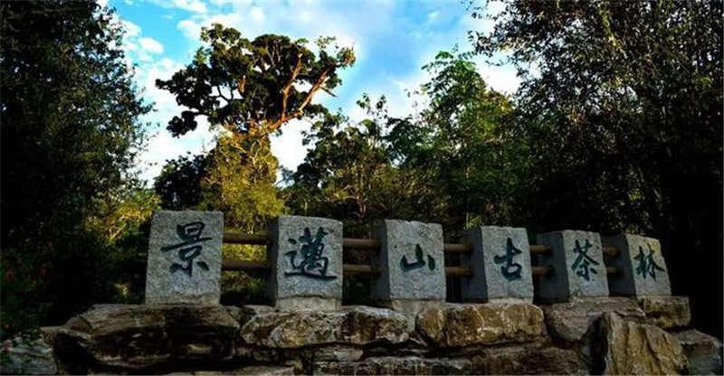 茶文化旅游路线云南(茶文化旅游的开发对于云南经济发展的地位和作用) 第1张