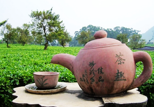 奇石文化与茶文化(奇石文化与茶文化的区别) 第1张