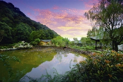 茶文化温泉旅游小镇(茶园温泉小镇) 第1张