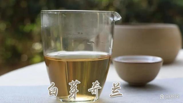 闽南茶文化谚语大全(闽南茶文化谚语大全及解释) 第1张